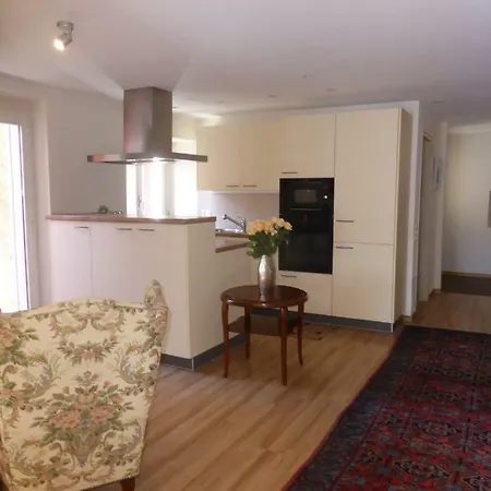 Casa Palmira Apartmán Ronco sopra Ascona